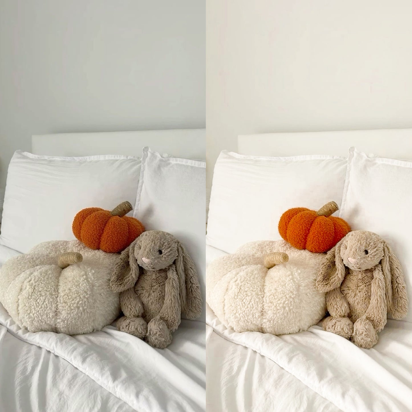 Fall Bundle Presets š *8 options included*